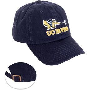 Desert Cactus University of California Irvine Baseball Hat Antealters UCI Earters Hats Hats Cap Capable Capable Cloth Strap Onter (Style C) Blue