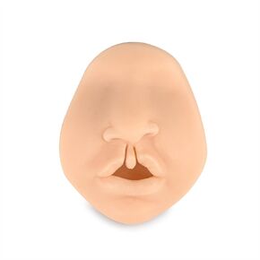 Bilateral Cleft Lip Model, Cleft Lip Suture Training Simulator for Medical Students, Education, Display