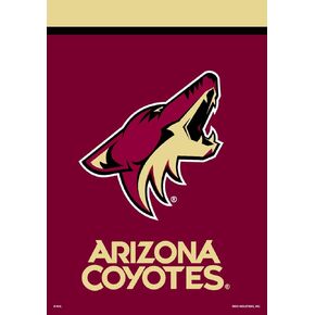 Arizona Coyotes Nhl Licensed House Flag 40" x 28" Briarwood Lane
