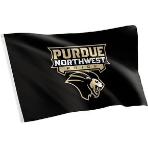 Desert Cactus Purdue University Northwest PUN Flag - 3 x 5 Feet Pride Banner, Indoor/Outdoor Durable Fabric, 100% Polyester Design (Style 1)