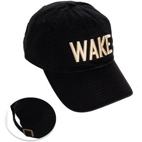 Desert Cactus Wake Forest University Baseball Hat Demon Deacons Brimmed Embroirderd Hats Cap Adjustable Cloth Strap Adult (Style D1) Black