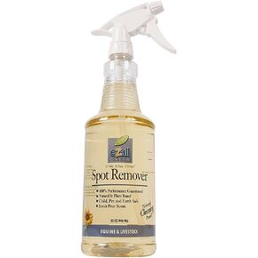 Spot Remover, 32-Ounce