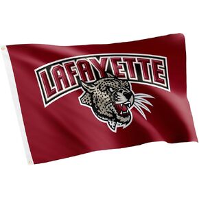 Desert Cactus Lafayette College LC Flag - 3 × 5 أقدام لافتة Leopards ، نسيج متين داخلي/خارجي ، تصميم البوليستر 100 ٪ (النمط 2)