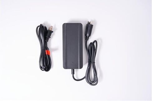 Compatible with Bosch eBike Charger and Unisex - Adult 2A Compact Gen2 Bicycle Decoration in Saudi Arabia