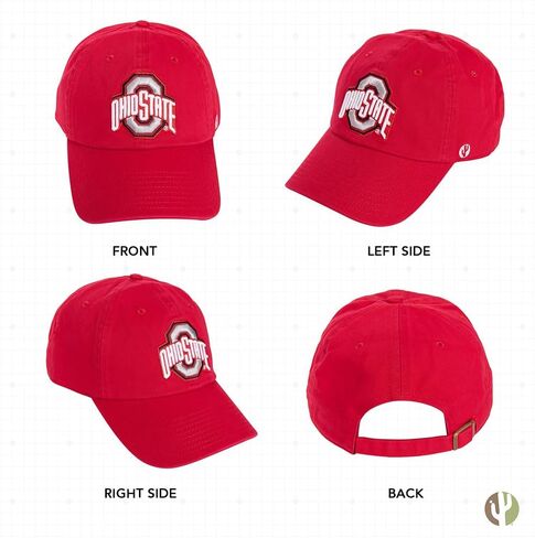 صبار الصحراء، قبعة بيسبول جامعة ولاية أوهايو، OSU Buckeyes، قبعات مطرزة، قبعة قابلة للتعديل، حزام قماش للبالغين (نمط N1) رمادي in Saudi Arabia