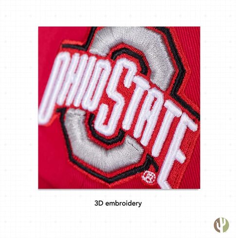 صبار الصحراء، قبعة بيسبول جامعة ولاية أوهايو، OSU Buckeyes، قبعات مطرزة، قبعة قابلة للتعديل، حزام قماش للبالغين (نمط N1) رمادي in Saudi Arabia