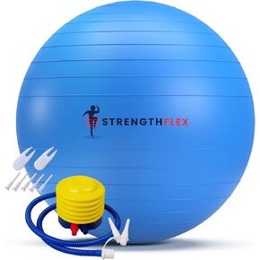 Pilates Ball at Home Workout Equipment – 65cm Yoga Ball for Pregnancy Exercise Balls Physical Therapy – Anti-Burst PVC Stability Ball with Pump – Workout Ball Exercise Ball Chair