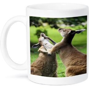 3dRose mug_51563_1 Fighting Kangaroos Ceramic Mug, 11-Ounce