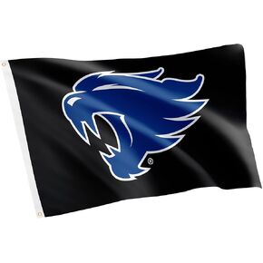 Desert Cactus University of Kentucky UK Flag - 3 x 5 Feet Wildcats Banner, Indoor/Outdoor Durable Fabric, 100% Polyester Design (Style T)