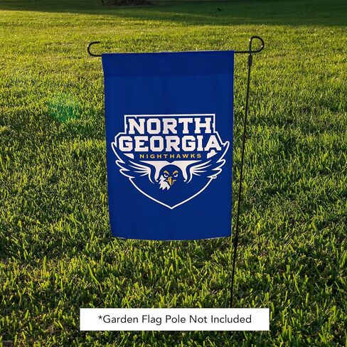 Desert Cactus University of North Georgia UNG Garden Flag – 19 x 12 inch North Georgia Nighthawks Banner, For Outdoor Display and Events (Design 2) in Saudi Arabia