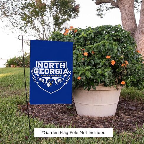 Desert Cactus University of North Georgia UNG Garden Flag – 19 x 12 inch North Georgia Nighthawks Banner, For Outdoor Display and Events (Design 2) in Saudi Arabia