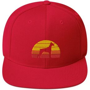 Snapback Hat Doberman Doggie Vintage German Dog Dad Rottweiler