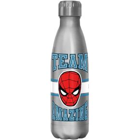 Marvel Team Amazing 17 oz Stainless Steel Water Bottle, 17 Ounce, Multicolored