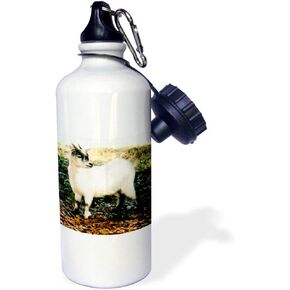 3dRose Pygmy Goat Sports Water Bottle, 21 oz, White