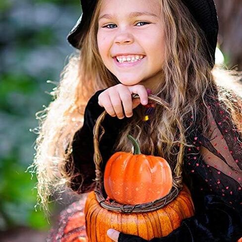 Rocutus 12 Pieces Mini Artificial Pumpkins,Lifelike Simulation Mini Pumpkins Fall Mini Artificial Pumpkins,Halloween Thanksgiving Autumn Theme Party Decorations Mini Pumpkins (Orange) in Saudi Arabia