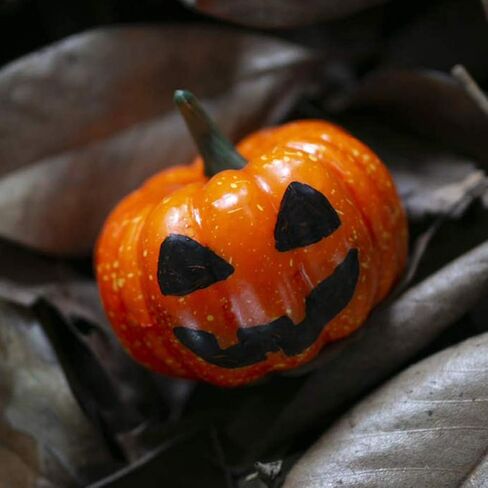Rocutus 12 Pieces Mini Artificial Pumpkins,Lifelike Simulation Mini Pumpkins Fall Mini Artificial Pumpkins,Halloween Thanksgiving Autumn Theme Party Decorations Mini Pumpkins (Orange) in Saudi Arabia