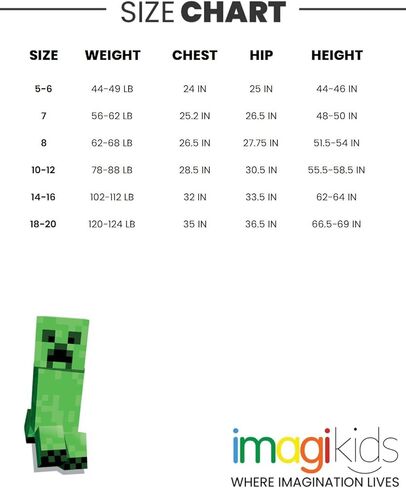 Minecraft Creeper Fleece Pullover Hoodie and Pants Outfit Set Little Kid to Big Kid in Kuwait