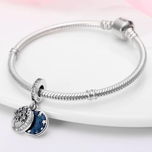 Pandach 925 Sterling Silver Charm for Bracelets Necklace Dangle Pendant Bead Girl Jewelry Beads Gifts for Women in Kuwait