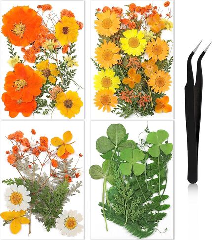 Nuanchu Pressed Flowers Bulk Fall Dried Flower for Resin Mold,Dried Flower Leave Natural with Tweezer for Crafts Candles Soap Cake Making Scrapbooking Autumn Christmas DIY Gift Accessories in Saudi Arabia