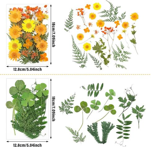 Nuanchu Pressed Flowers Bulk Fall Dried Flower for Resin Mold,Dried Flower Leave Natural with Tweezer for Crafts Candles Soap Cake Making Scrapbooking Autumn Christmas DIY Gift Accessories in Saudi Arabia