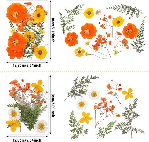 Nuanchu Pressed Flowers Bulk Fall Dried Flower for Resin Mold,Dried Flower Leave Natural with Tweezer for Crafts Candles Soap Cake Making Scrapbooking Autumn Christmas DIY Gift Accessories in Saudi Arabia