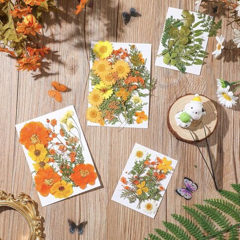 Nuanchu Pressed Flowers Bulk Fall Dried Flower for Resin Mold,Dried Flower Leave Natural with Tweezer for Crafts Candles Soap Cake Making Scrapbooking Autumn Christmas DIY Gift Accessories in Saudi Arabia