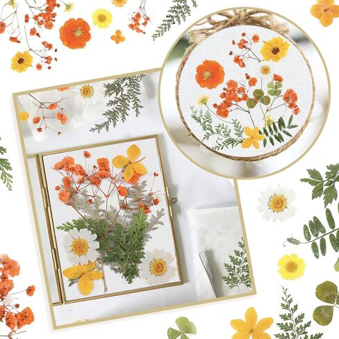 Nuanchu Pressed Flowers Bulk Fall Dried Flower for Resin Mold,Dried Flower Leave Natural with Tweezer for Crafts Candles Soap Cake Making Scrapbooking Autumn Christmas DIY Gift Accessories in Saudi Arabia