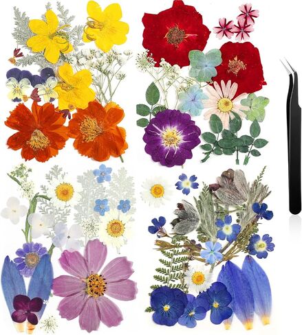 Nuanchu Pressed Flowers Bulk Fall Dried Flower for Resin Mold,Dried Flower Leave Natural with Tweezer for Crafts Candles Soap Cake Making Scrapbooking Autumn Christmas DIY Gift Accessories in Saudi Arabia