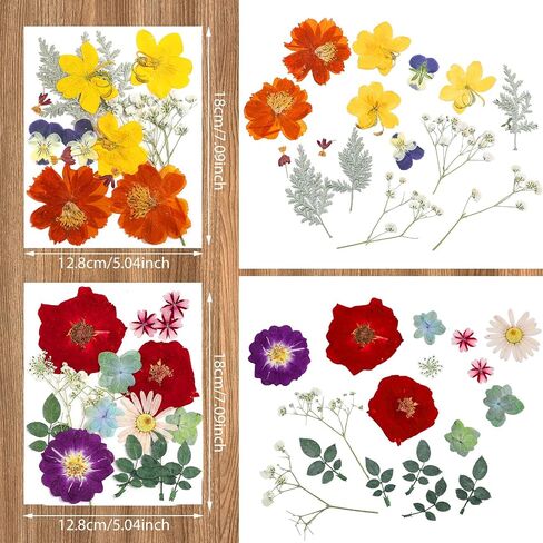 Nuanchu Pressed Flowers Bulk Fall Dried Flower for Resin Mold,Dried Flower Leave Natural with Tweezer for Crafts Candles Soap Cake Making Scrapbooking Autumn Christmas DIY Gift Accessories in Saudi Arabia