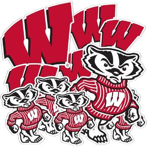 Desert Cactus University of Wisconsin Sticker Badgers UW Madison Stickers Vinyl Decals Laptop Water Bottle Car Scrapbook T1 (Type 1-1)