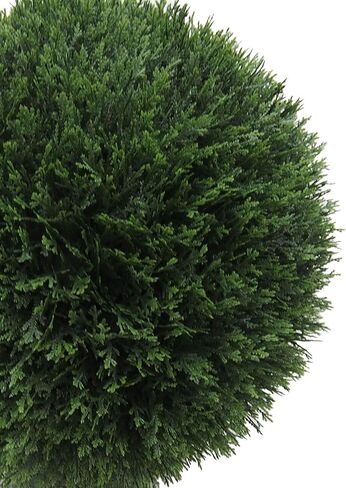Vickerman Everyday 24" Artificial Pre-Lit Silk Cedar Topiary Ball - UV Resistant Indoor Outdoor - Potted Natural Green - Home Patio Tabletop Faux Bush Decoration in Saudi Arabia