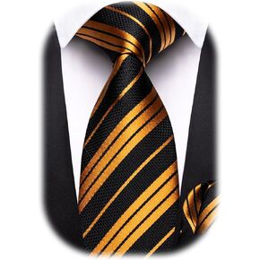 Barry.Wang Silk Men Ties Formal Stripes Necktie and Tie Clip for Wedding Party Business Fashion Classic