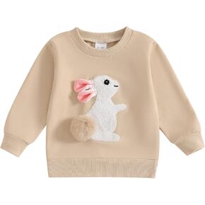 Dcohmch Toddler Girl Boy Easter outfit Bunny Embroidered Shirt Sweatshirt Long Sleeve Pullovers Baby Spring Clothes