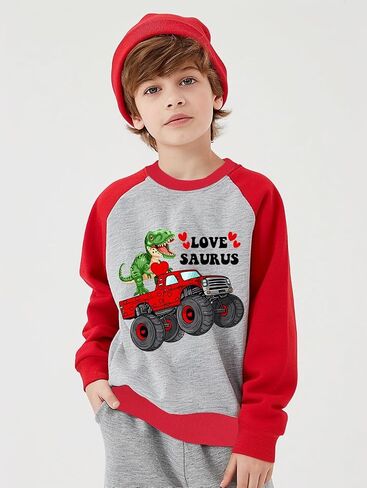 DDSOL Boys Toddler Sweatshirt Tractor Dinosaur Monster Truck Long Sleeve Shirts Pullover Love Hearts Tee Top Kid Clothes in Kuwait