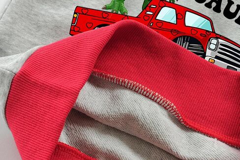DDSOL Boys Toddler Sweatshirt Tractor Dinosaur Monster Truck Long Sleeve Shirts Pullover Love Hearts Tee Top Kid Clothes in Kuwait