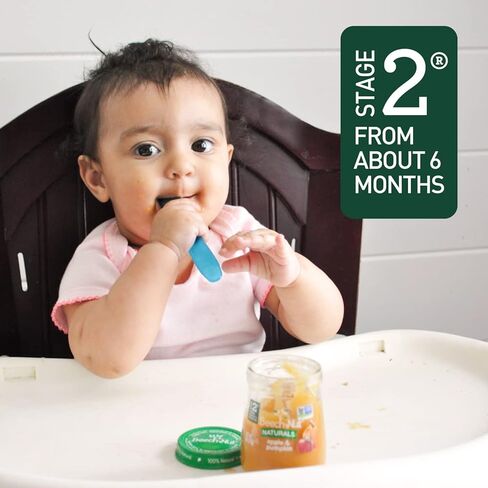Beech-Nut Baby Food Pouches Variety Pack, NEW Fruit Purees Variety Pack, 3.5 oz (18 Pack) in Saudi Arabia