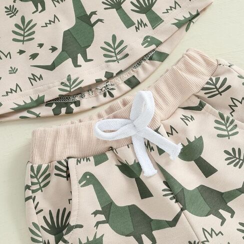 Baby Boy Short Outfits Summer Toddler Boy Shorts Dinosaur Short Sleeve T-shirt 2 Pcs Summer Baby Boy Short Set in Saudi Arabia