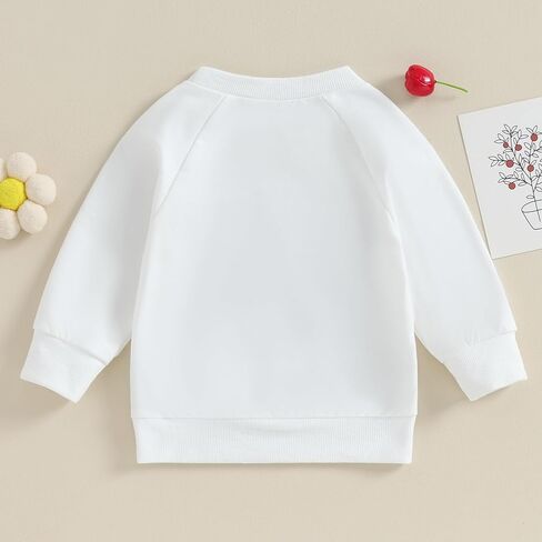 Big Sister Matching Outfits Toddler Baby Girl Shirt Long Sleeve Crewneck Big Sis Sweatshirt Fall Infant Clothes in Kuwait