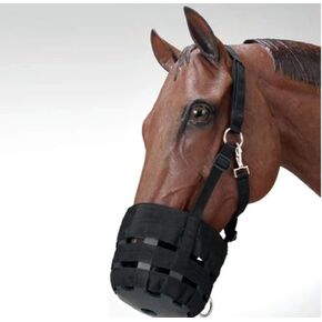Grazing Muzzle with Halter