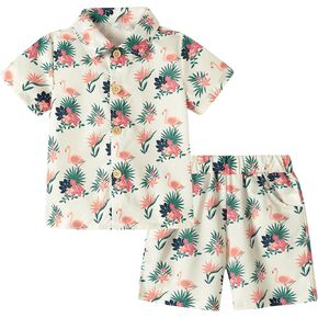 Zoerea Toddler Baby Boy Cloths Hawaiian Shorts مجموعات مطبوعة زر أسفل القميص والسراويل القصيرة Summer Beach Comple