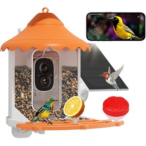 Hiseeu 3MP Bird Feeder with Camera, 2.5L, AI Identify 11000+ Birds Species, Solar Powered, Auto Capture Bird Videos & Motion Detection, Smart Bird Watching Camera Wireless Outdoor (Orange-64G)