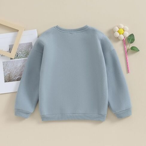 Toddler Baby Girls Long Sleeve Crewneck Embroider Pullover Sweatshirt Sweater Outfits Solid Color Casual Clothes in Saudi Arabia