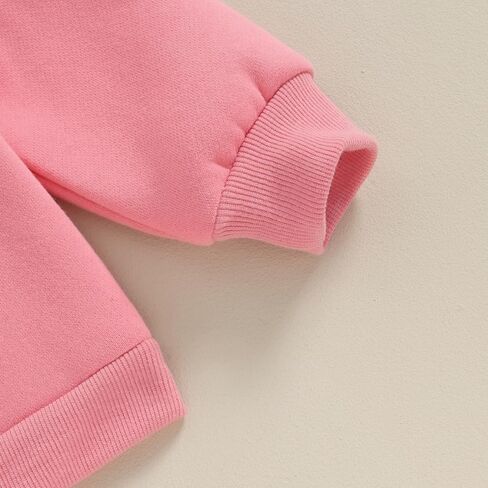 Toddler Baby Girls Long Sleeve Crewneck Embroider Pullover Sweatshirt Sweater Outfits Solid Color Casual Clothes in Saudi Arabia