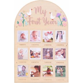 Silly Goose First Year Photo Board - Newborn 1 to 12 Months Photo Display,Goose 1st Birthday Photo Wooden Board,One Silly Goose Monthly Milestone Photos,Flower Leaf Goose Party Photo Board