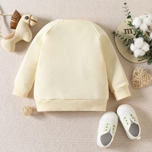FIOMVA Baby Girl Sister Matching Crewneck Sweatshirt Big/Little Sister Long Sleeve Shirt Pullover Top Fall Winter Clothes in Kuwait