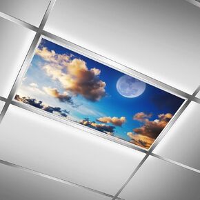 2 Pack Fluorescent Light Cover for Classroom,Flying Bird Ceiling Decorative Film Filter,Eliminate Harsh Glare Causing Eyestrain And Headaches