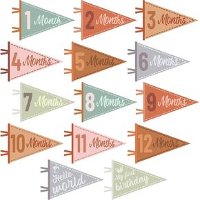 Felt Baby Monthly Milestone Signs, 14 Pcs First 12 Months Baby Milestone for Baby Girl Boy, Gender Neutral Photo Props for Newborn Boy and Girl, Assorted Colors