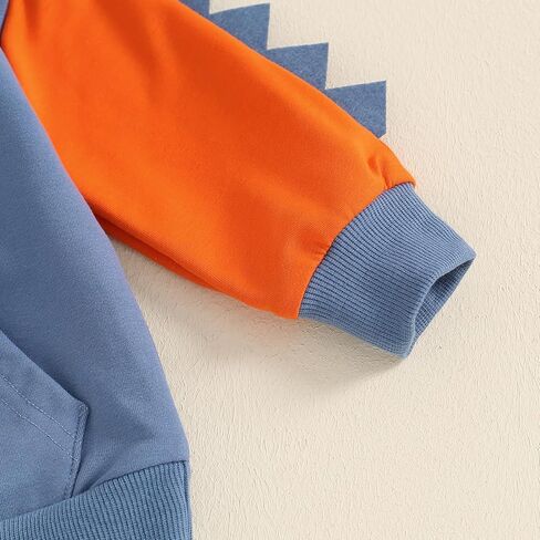 Toddler Baby Boy Outfits Dinosaur Pattren Long Sleeve Hoodie sweatsuit Pants Kids Boy Fall Winter Clothes in Kuwait