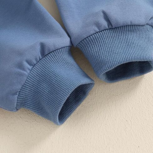 Toddler Baby Boy Outfits Dinosaur Pattren Long Sleeve Hoodie sweatsuit Pants Kids Boy Fall Winter Clothes in Kuwait