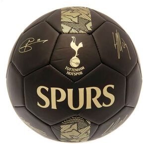 Tottenham Hotspur FC Phantom Signature Soccer Ball (1) (Black/Gold)